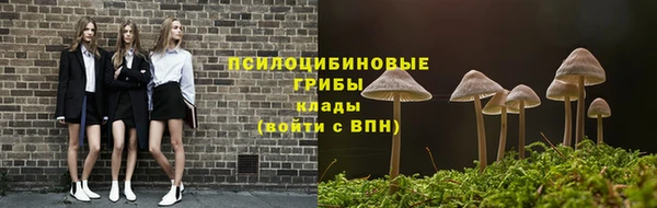 дурь Няндома