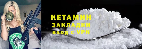 дурь Няндома