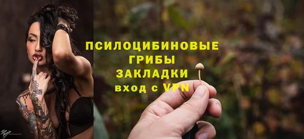 дурь Няндома