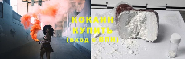 дурь Няндома