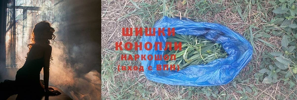 хмурый Нягань