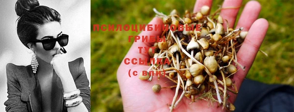 a pvp Новодвинск